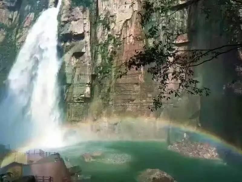 逗小猴开心系列182