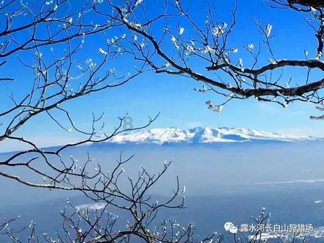 竞技游戏