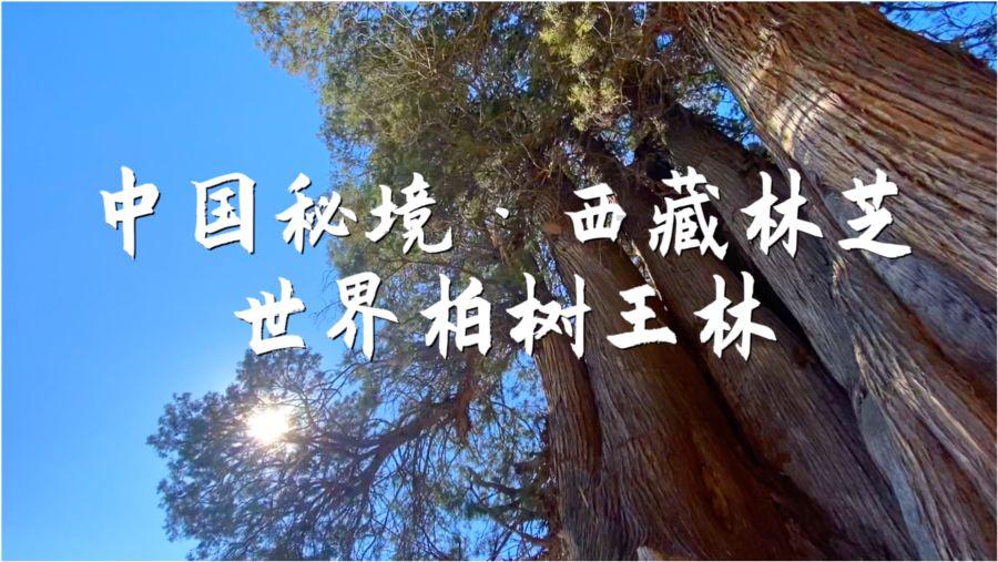 刚刚！重要通知！年前必做！