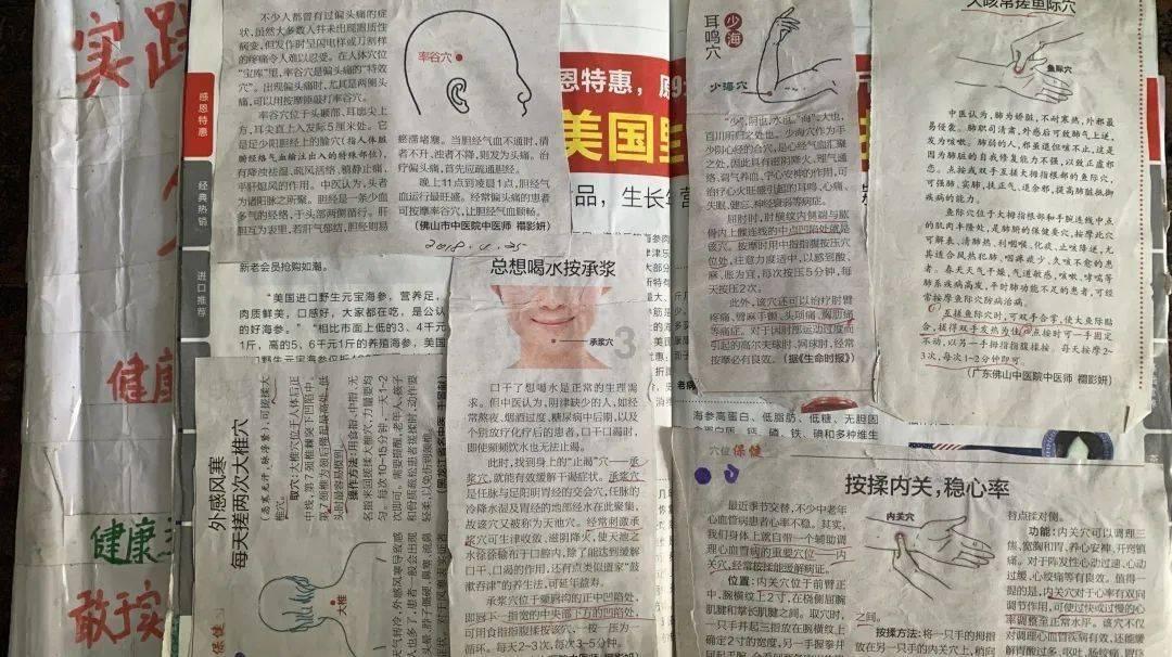 植物大战僵尸3